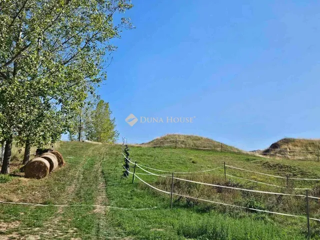 Eladó mezőgazdasági ingatlan Szanda