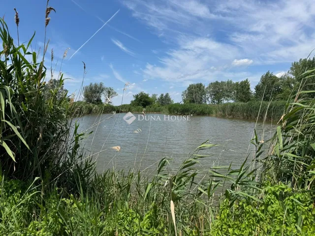 Eladó mezőgazdasági ingatlan Mocsa 7100 nm