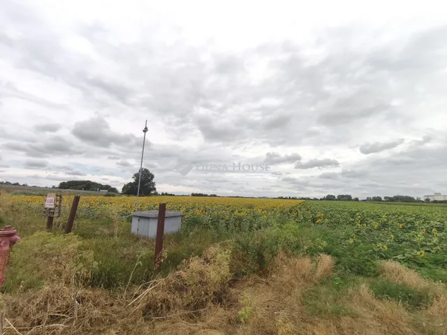 Eladó mezőgazdasági ingatlan Debrecen 17564 nm