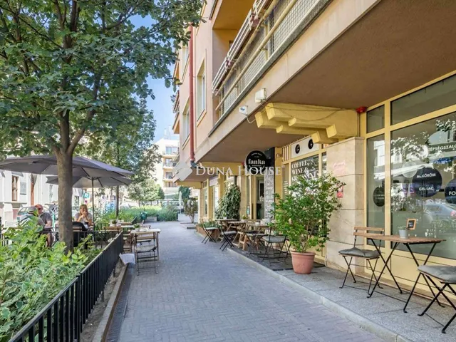 Eladó lakás Budapest VII. kerület, Holló utca 109 nm