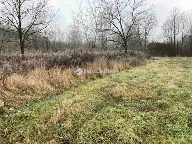 Eladó telek Ádánd 42558 nm