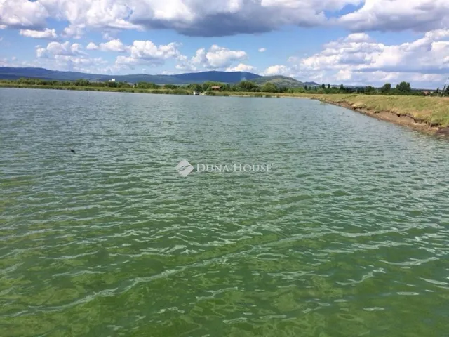 Eladó mezőgazdasági ingatlan Gyöngyöshalász 533696 nm