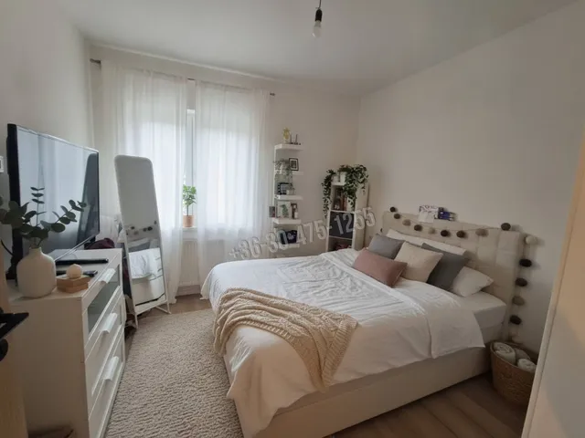 Eladó ház Délegyháza 101 nm