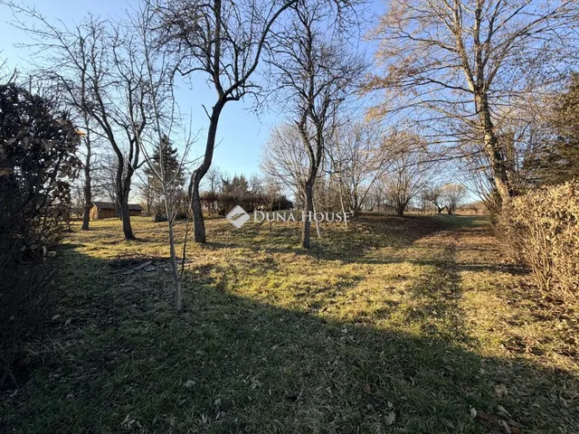 Eladó telek Kercaszomor, Fő út 6089 nm