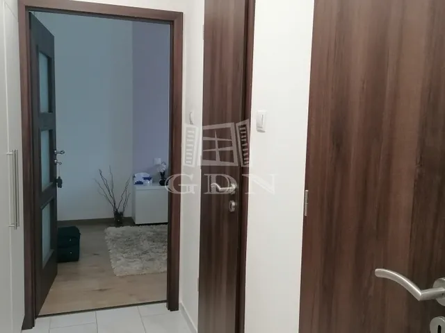 Kiadó lakás Szeged, Északi városrész 15 nm