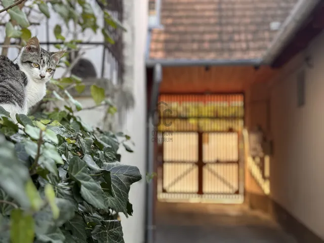 Eladó ház Győr 129 nm