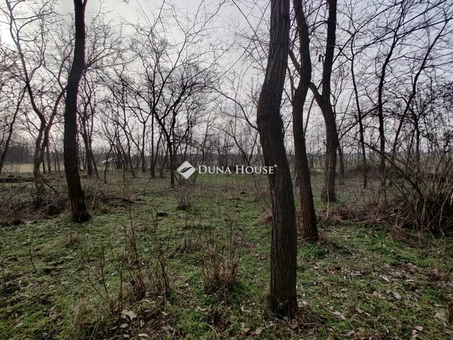 Eladó telek Gönyű, Nincs utca 6882 nm
