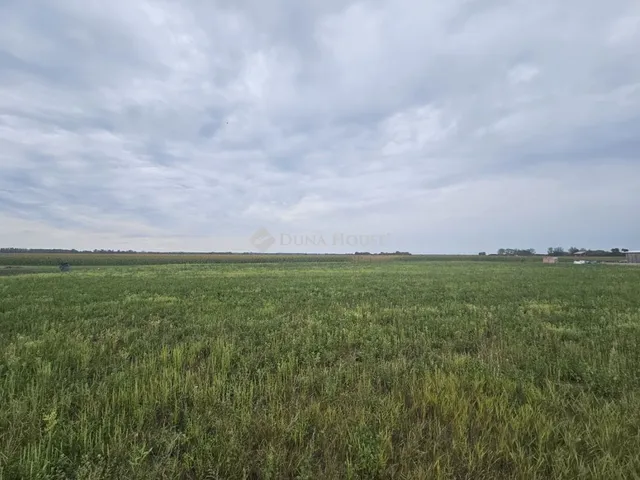 Eladó telek Dunaszeg 1134 nm