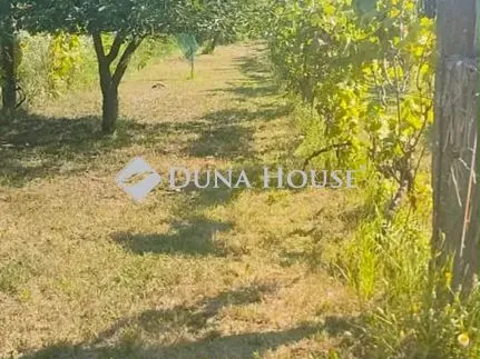 Eladó telek Mocsa 2239 nm