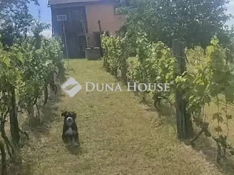 Eladó telek Mocsa 2239 nm