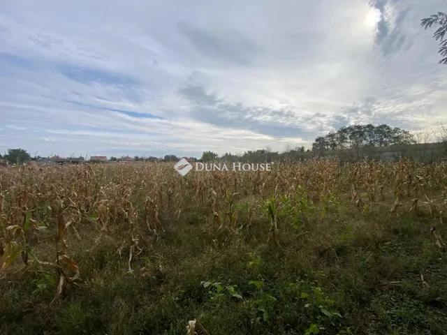 Eladó telek Szilsárkány 2197 nm