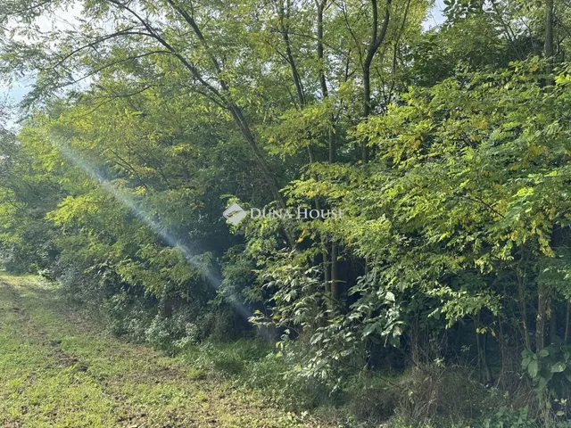 Eladó telek Tényő 2892 nm