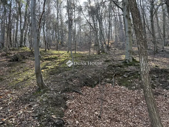 Eladó telek Velem 1484 nm