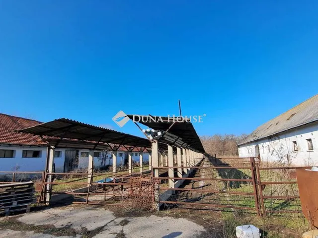 Eladó mezőgazdasági ingatlan Hódmezővásárhely 540 nm