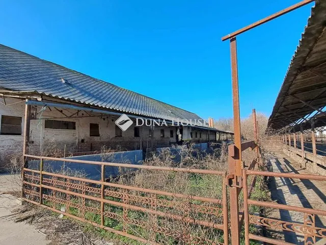 Eladó mezőgazdasági ingatlan Hódmezővásárhely, Rárósi utca 540 nm