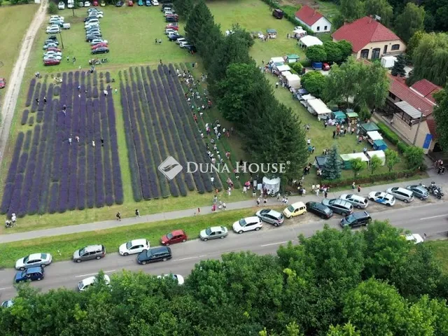 Eladó mezőgazdasági ingatlan Csongrád 2167 nm