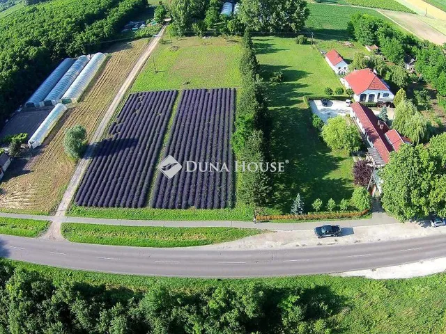 Eladó mezőgazdasági ingatlan Csongrád 2167 nm