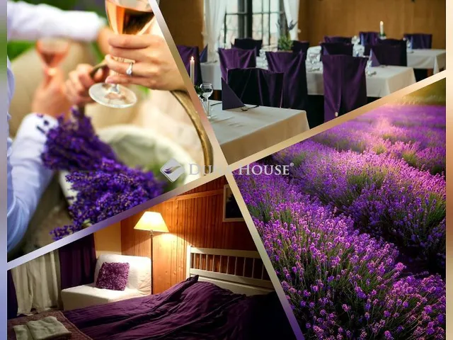 Eladó mezőgazdasági ingatlan Csongrád, Külterület 2167 nm