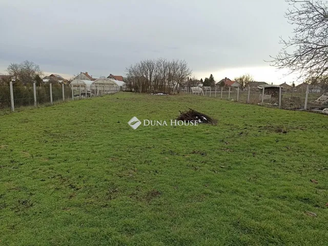 Eladó telek Deszk, Arany János utca 1503 nm