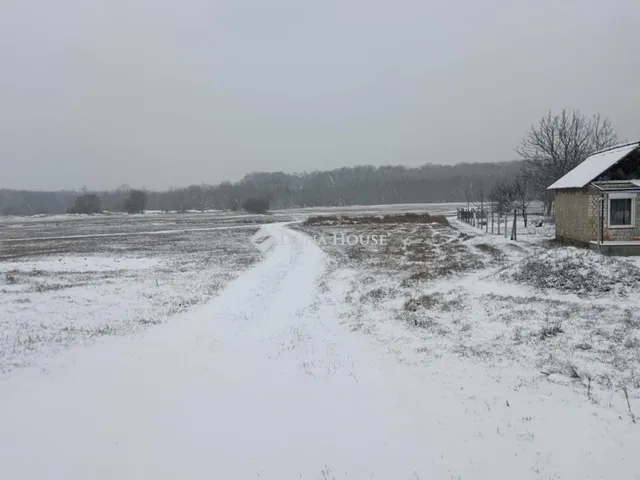 Eladó telek Pusztavacs, Béke tér 1260 nm