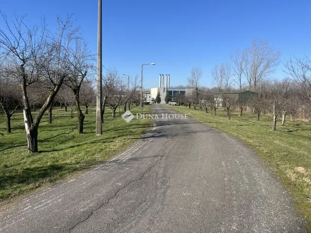 Eladó kereskedelmi és ipari ingatlan Hódmezővásárhely, Erzsébeti út 27066 nm