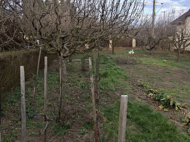 Eladó ház Bátonyterenye 221 nm