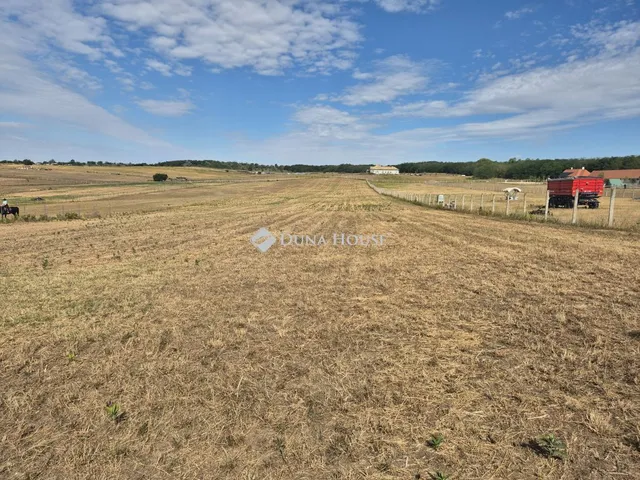 Eladó telek Őrbottyán 11339 nm