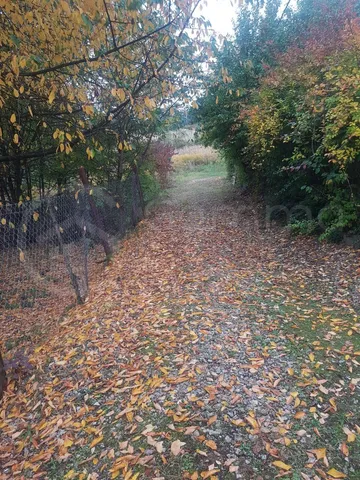 Eladó telek Miskolc, Vargahegy 800 nm