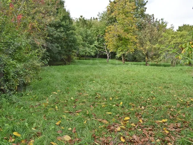 Eladó telek Miskolc, Szentpéteri kapu 1300 nm