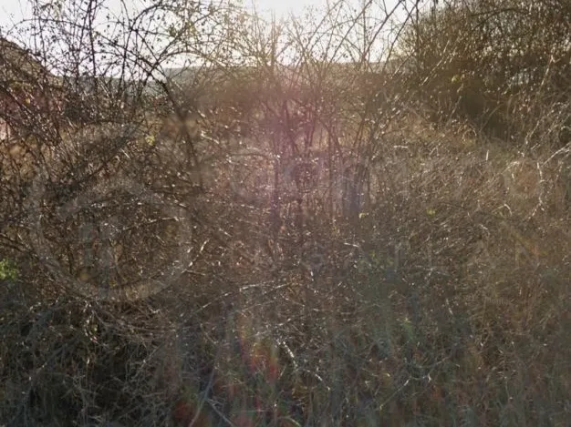 Eladó telek Miskolc, Belváros 1750 nm