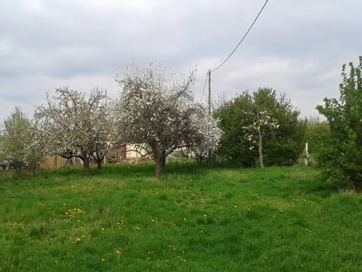 Eladó telek Pápa 1638 nm