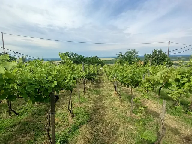 Eladó telek Somlószőlős 2576 nm