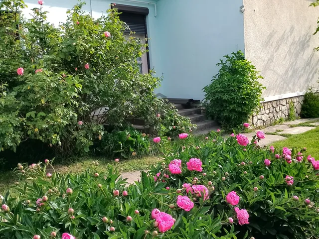 Eladó ház Marcaltő 103 nm