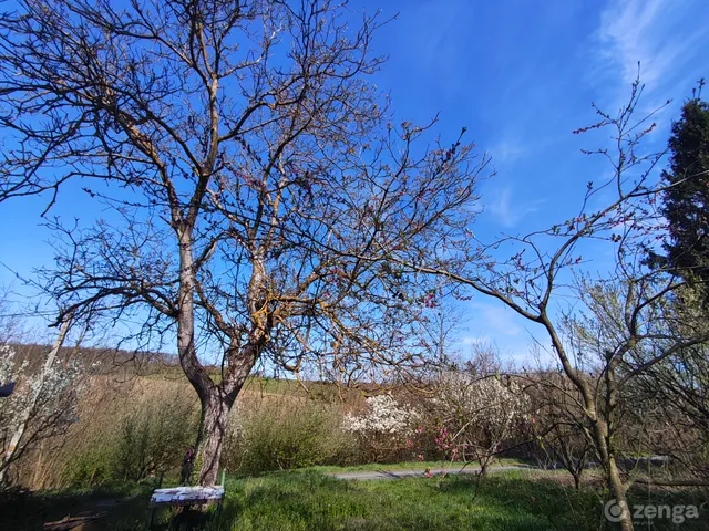 Eladó üdülő és hétvégi ház Zalaapáti 40 nm