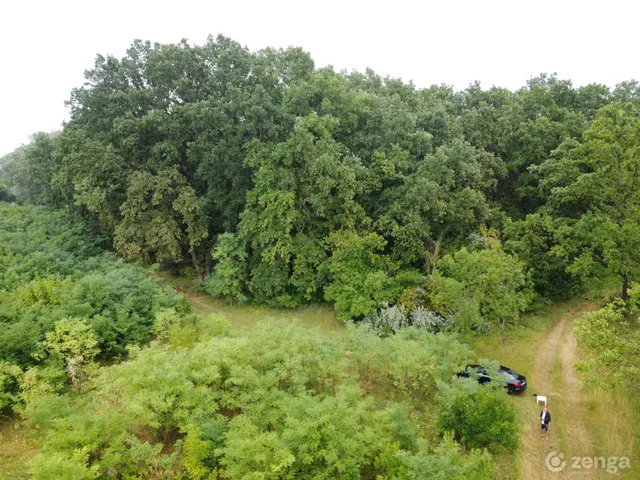 Eladó telek Balástya 18471 nm