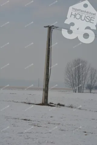 Eladó mezőgazdasági ingatlan Kerekegyháza 50 nm