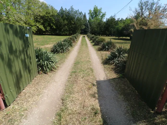 Eladó mezőgazdasági ingatlan Tázlár 100 nm