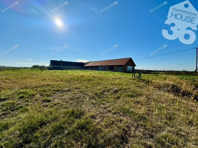 Eladó mezőgazdasági ingatlan Tiszaalpár 334 nm