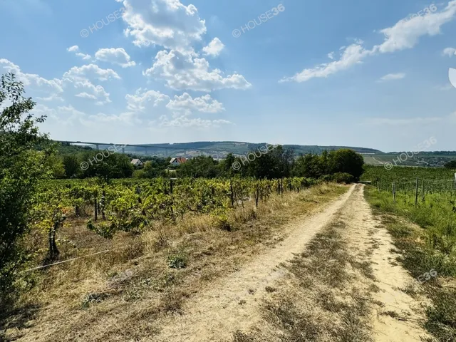 Eladó mezőgazdasági ingatlan Kőröshegy 35 nm