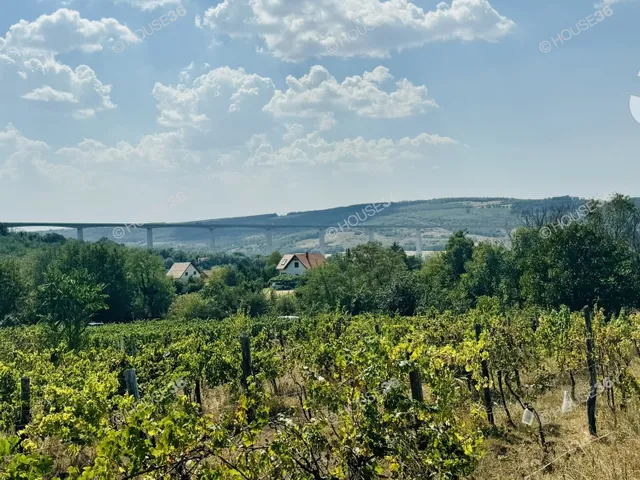 Eladó mezőgazdasági ingatlan Kőröshegy 35 nm