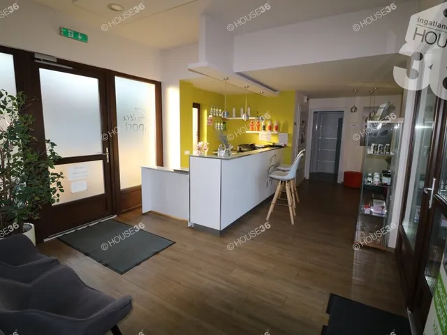 Eladó kereskedelmi és ipari ingatlan Kiskőrös 253 nm