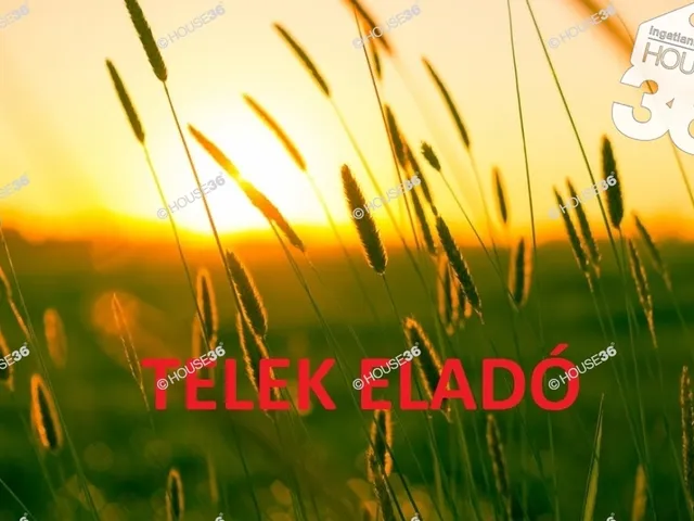 Eladó telek Kecskemét 2387 nm