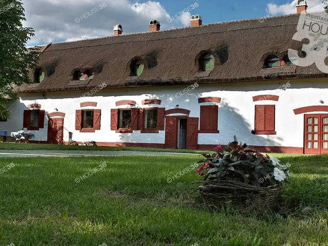 Eladó mezőgazdasági ingatlan Lajosmizse 800 nm