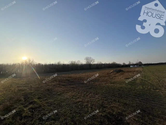 Eladó kereskedelmi és ipari ingatlan Szentkirály 6031 nm