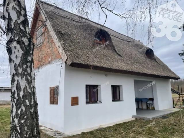Eladó mezőgazdasági ingatlan Lajosmizse 50 nm