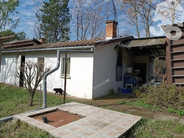 Eladó mezőgazdasági ingatlan Kiskunfélegyháza 48 nm