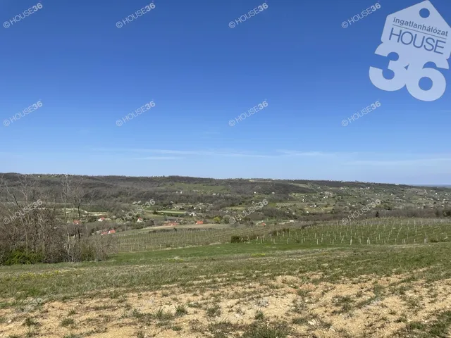 Eladó telek Szekszárd 17131 nm