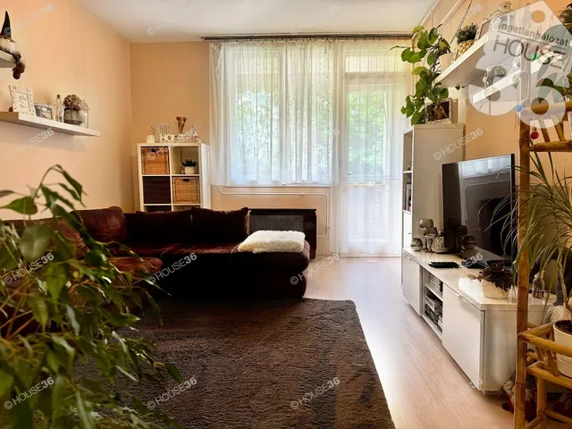 Eladó lakás Kecskemét, Hunyadiváros 49 nm
