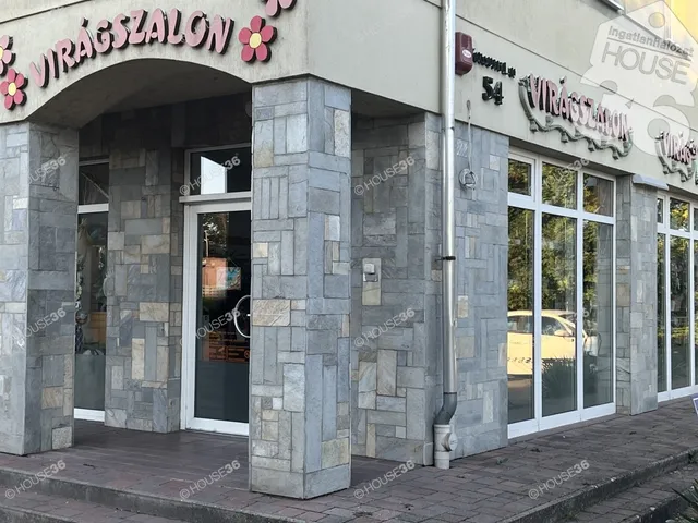 Eladó kereskedelmi és ipari ingatlan Solt 104 nm