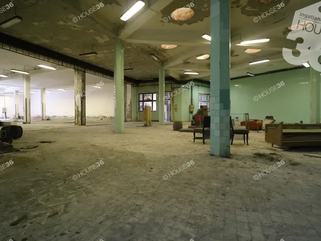 Eladó kereskedelmi és ipari ingatlan Balotaszállás 1367 nm